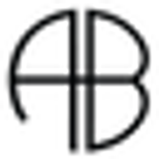 ANINE BING logo