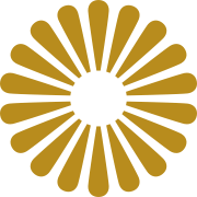 1-800-lighting logo