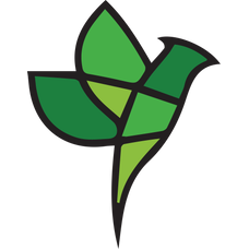 Airnex logo